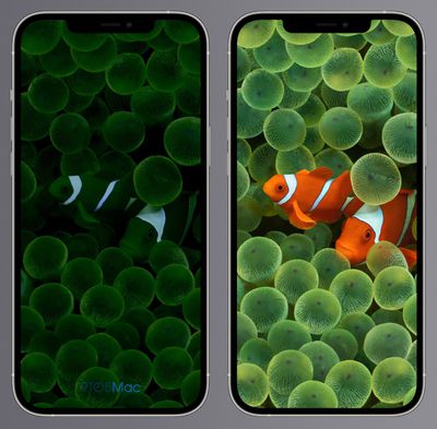 ios 16 selalu menampilkan wallpaper 1