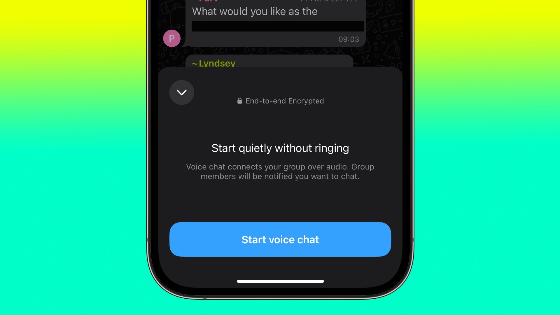 WhatsApp Rolls Out Voice Chats for Large Groups - MacRumors