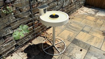 birdfy birdbath running