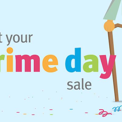 MacRumors content image