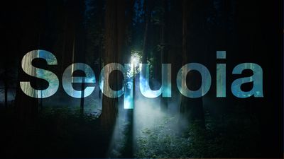 macOS Sequoia Night Feature