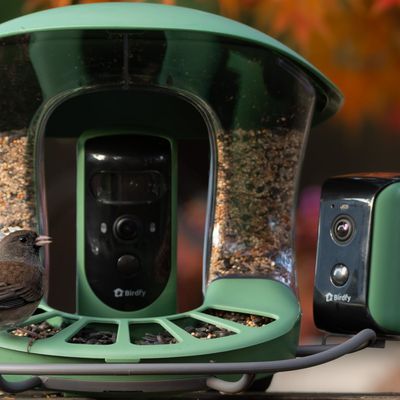 birdfy duo camera feeder