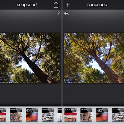 MacRumors content image