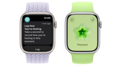 watchos 10 mood logging