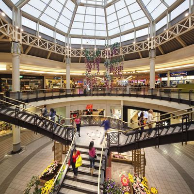 MacRumors content image