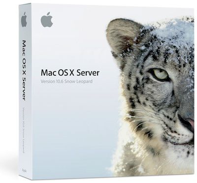 155706 snow leopard server box 400