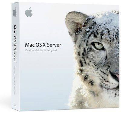 155706 snow leopard server box 400