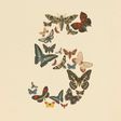 claude fable 5