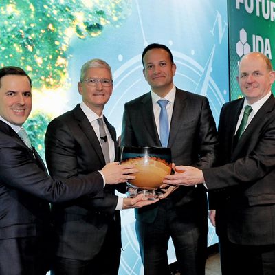 Tim Cook Ireland 2020