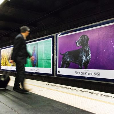 appleshotoniphonecolors