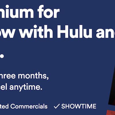 MacRumors content image