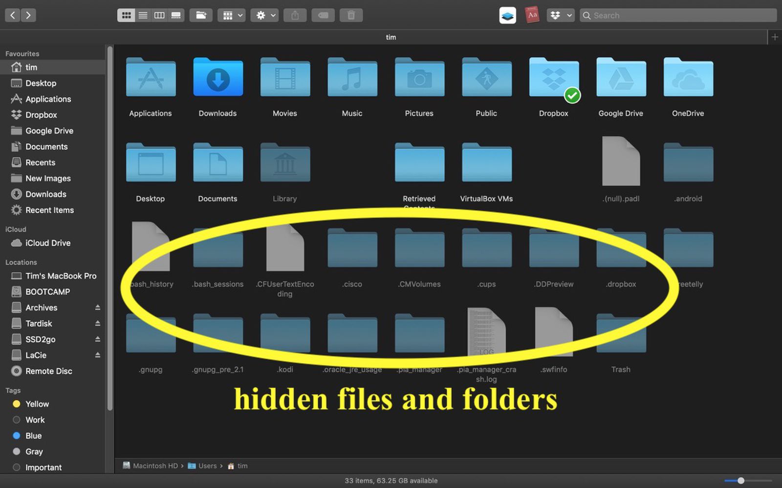 Quagmire håber minimal How to Show Hidden Files on a Mac - MacRumors