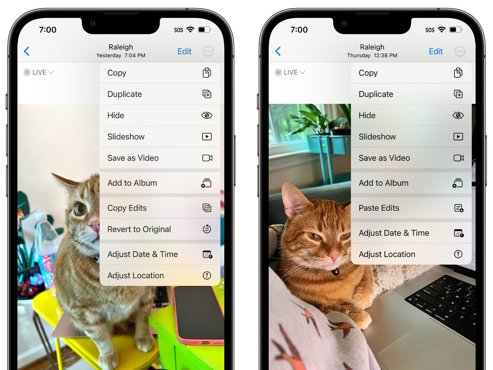 iOS 16 Includes Copy and Paste Feature for Photo Edits - MacRumors