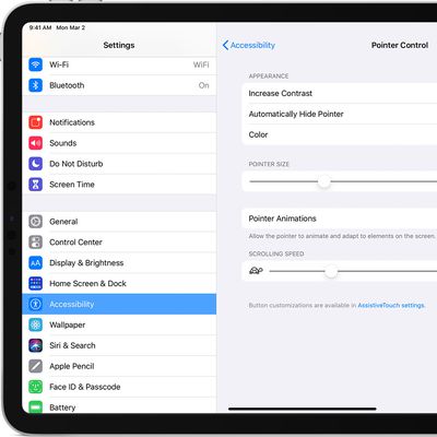 ios13 ipad pro settings accessibility pointer control customize