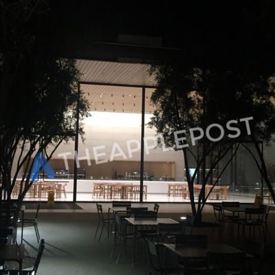 MacRumors content image