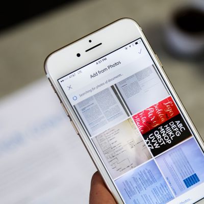 MacRumors content image