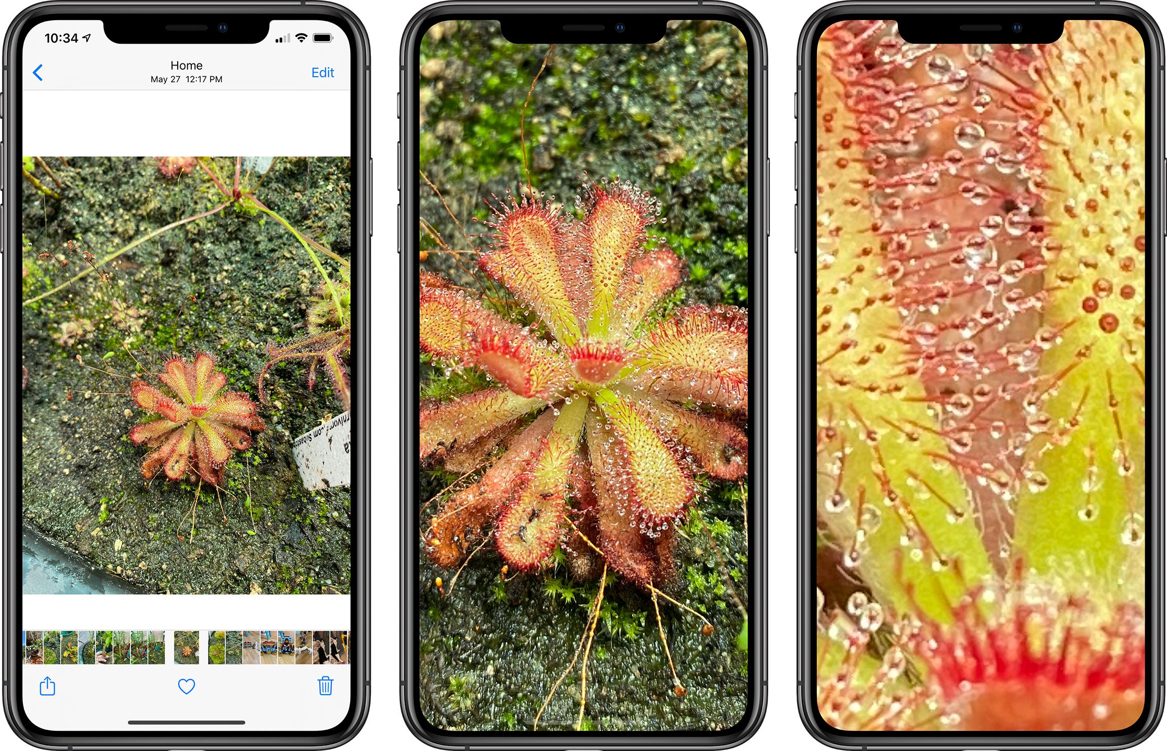 iphone 14 plus video zoom range