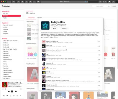 mushish web player for apple music interface 3