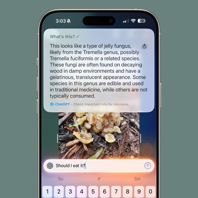 ios 26 visual intelligence ask
