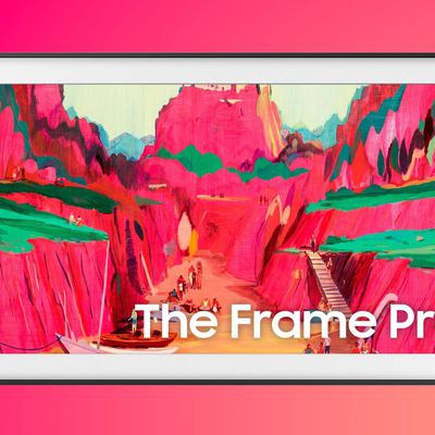 the frame pro pink