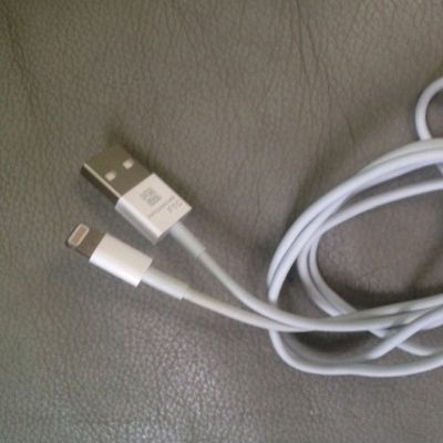 apple usb mini dock cable
