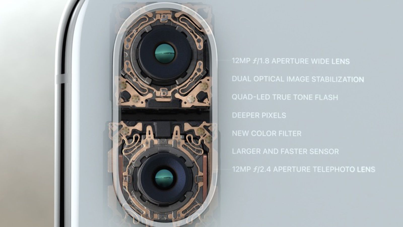 iphonexrearcamera-1.jpg