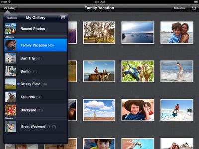 142105 mobileme gallery ipad