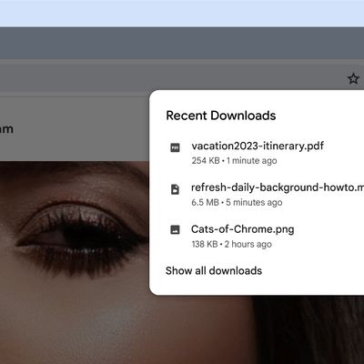 chrome search interface