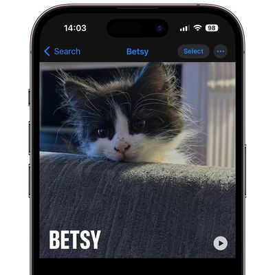 name pets photos