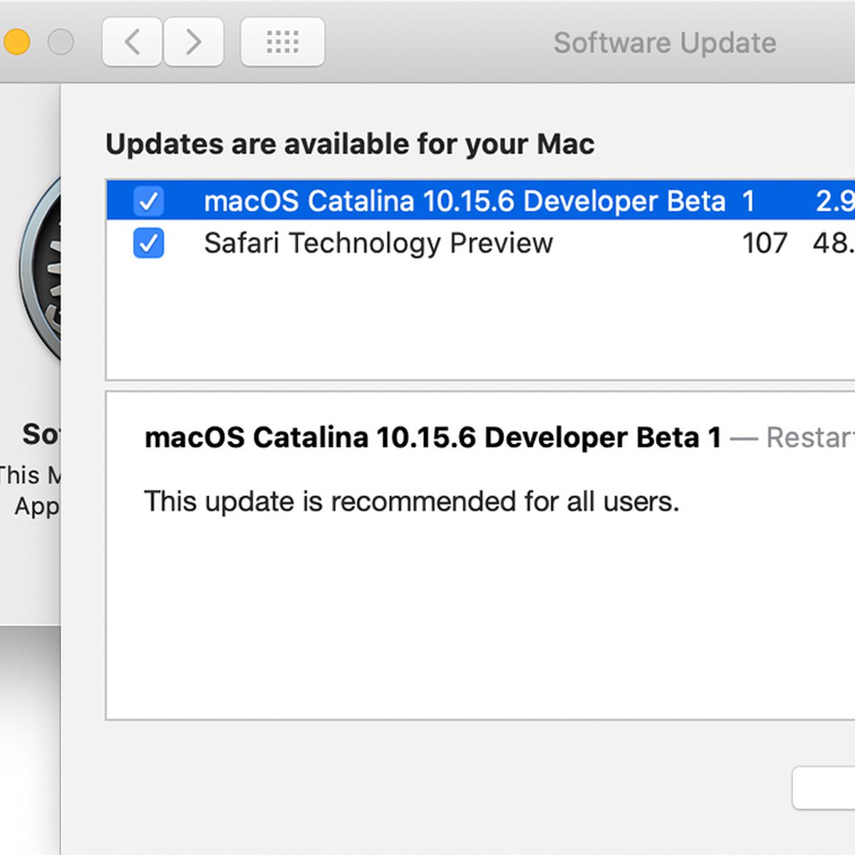 Software update macos does not download catalina bay