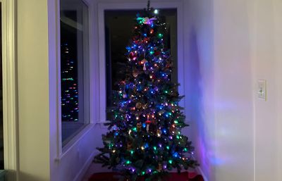 philips hue scattered - نقد و بررسی: چراغ های Philips Hue Festavia گران هستند، اما برای درختان کریسمس و تزئینات تعطیلات عالی هستند