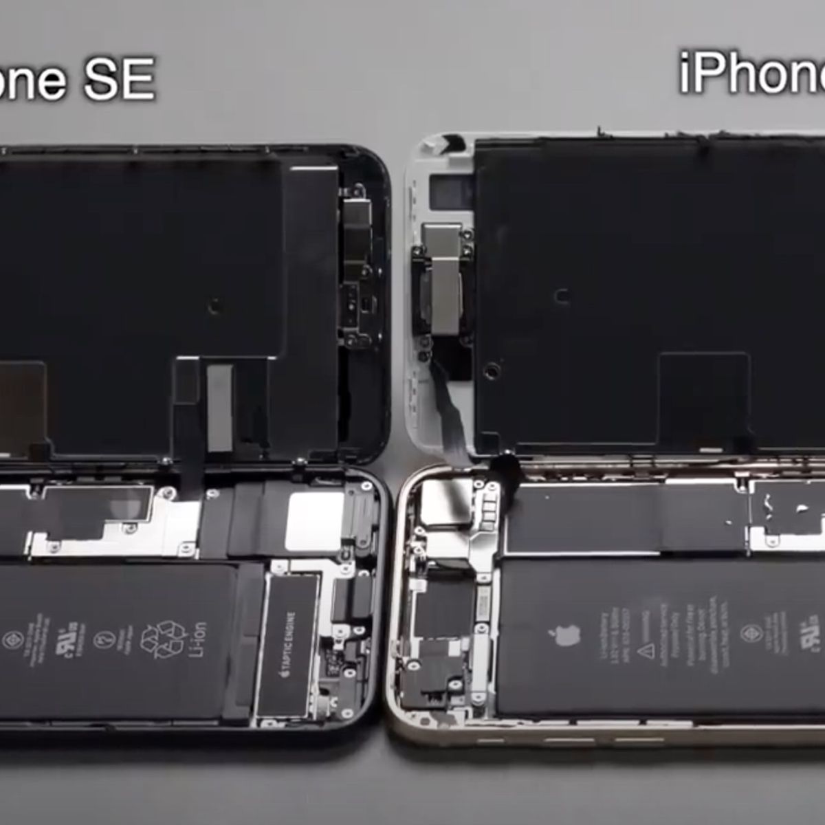 受付中断。iPhone SE iphoneseiphone8comparison.jpg