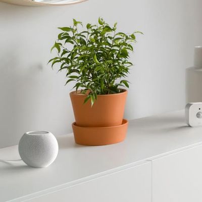 Eve Energy, Eve Door & Window, and Eve Motion Review - MacRumors