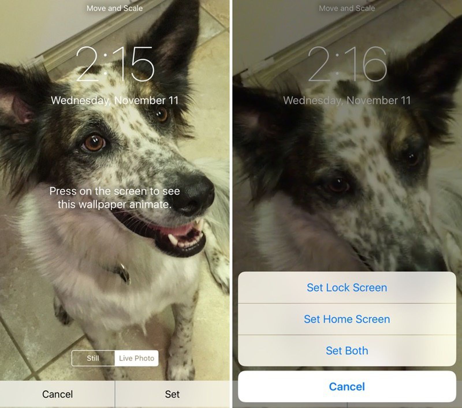 How to Use Live Photos on iPhone and iPad MacRumors