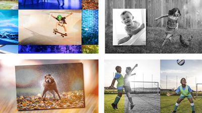 adobe photoshop elements 16 release date