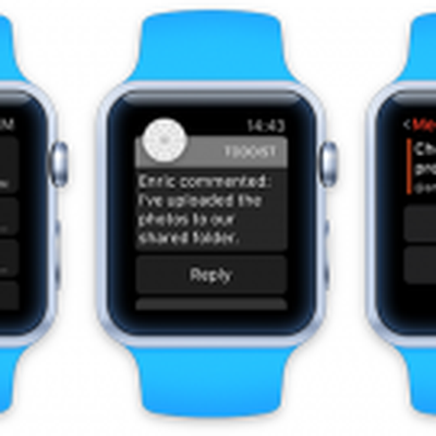 Todoist Apple Watch