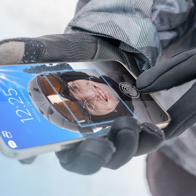 synapticsmultifactor