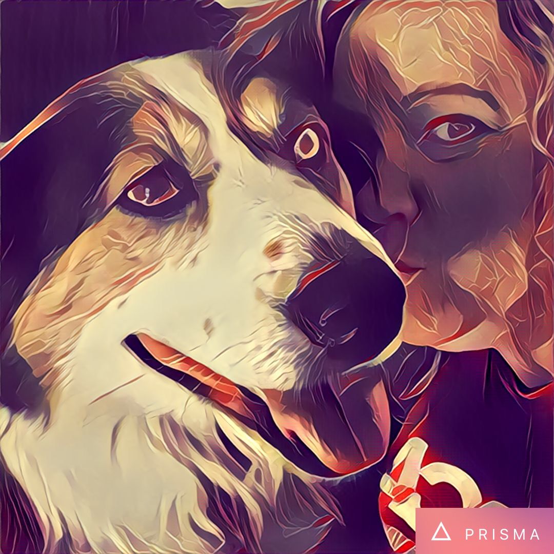 Attachment Image