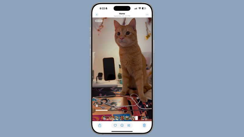 Ios Player iOS 18.2 Features: Everything New in iOS 18.2 - MacRumors