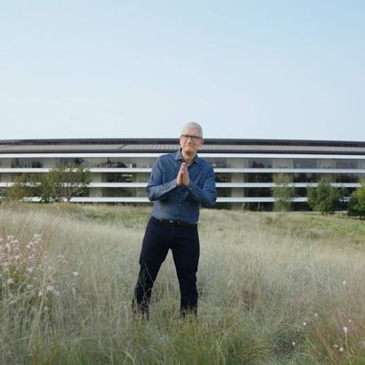 unleashed tim cook