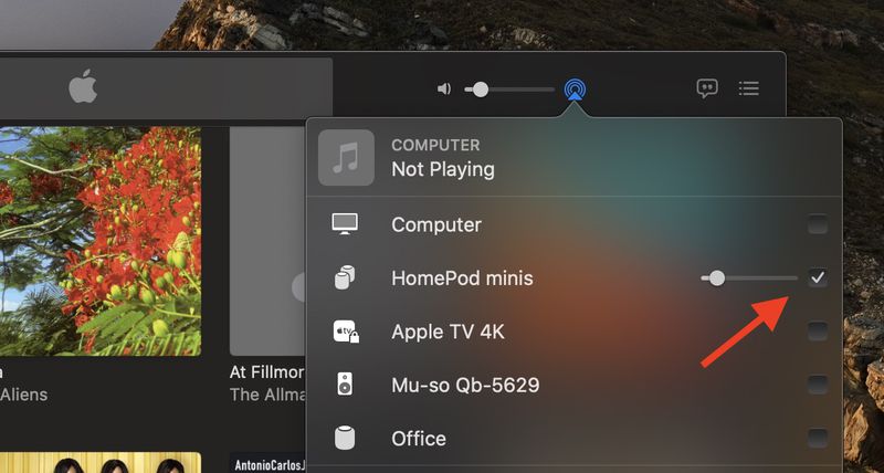 How to Use Two HomePods With a Mac for Stereo Audio Output - MacRumors