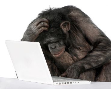 MacRumors content image