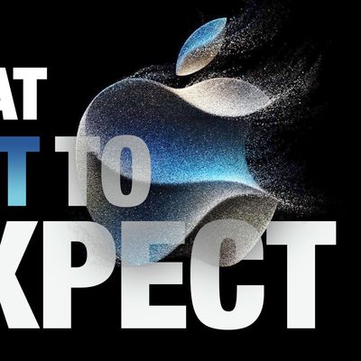 What Not To Expect at Apples Wonderlust Event Feature 1