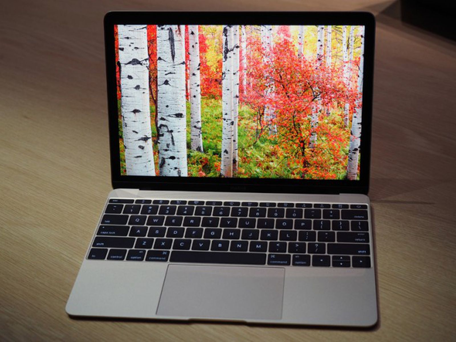 newmacbookviaengadget-800x503.jpg