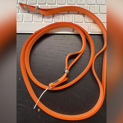 orange iphone 17 crossbody strap dickson
