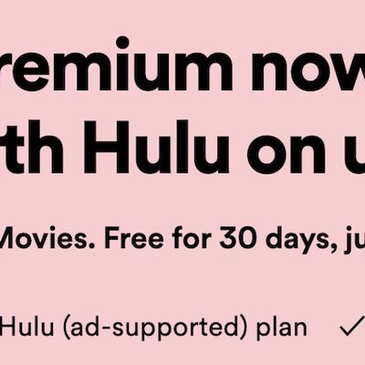 hulu log in with spotify