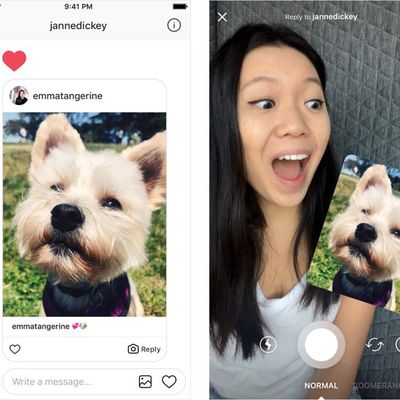 instagramreplies1