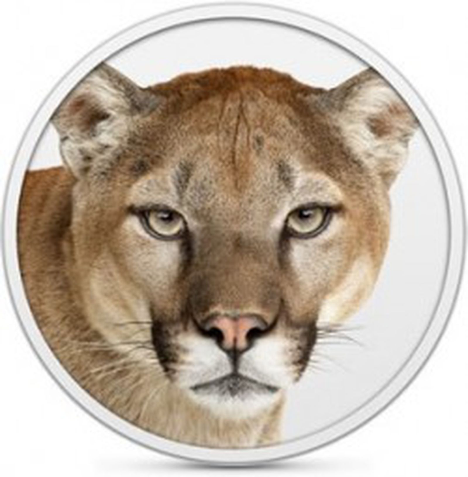 Mac mountain lion. Os x Mountain Lion 10.8.5. Mac os x 10.8 Mountain Lion. Голова Пумы. Портреты животных.