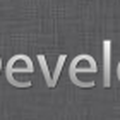 developer