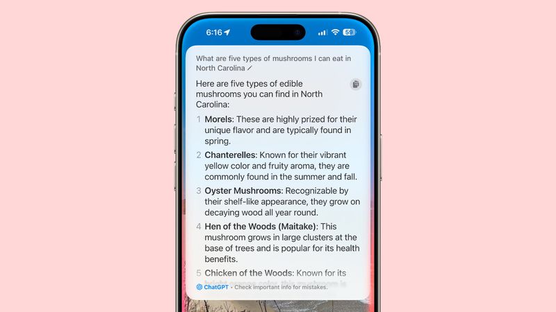 10 CHATGPT TRICKS FOR YOUR IPHONE AND MAC visual data 6